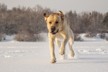 Similar image 7451129