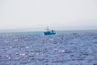 Similar image 7451130