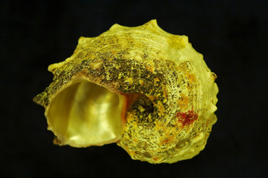 Similar image 7451133