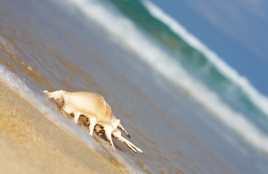 Similar image 7451134