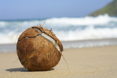 Similar image 7451136