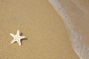 Similar image 7451137