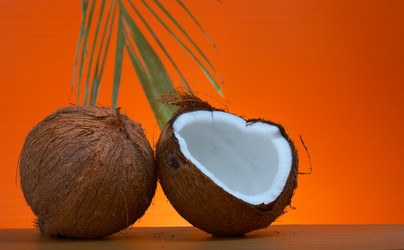 Similar image 7451149