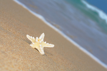 Similar image 7451153