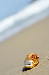 Similar image 7451154