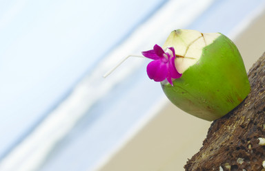 Similar image 7451157