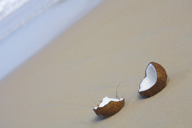 Similar image 7451162