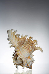 Similar image 7451164