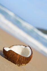 Similar image 7451165