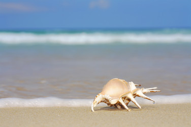 Similar image 7451166