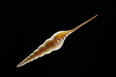 Similar image 7451167