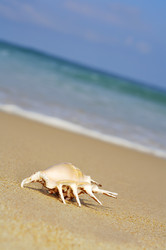 Similar image 7451169