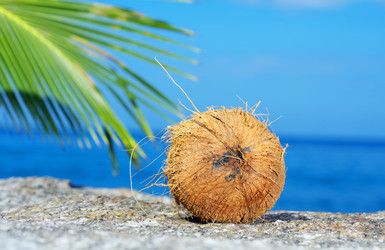 Similar image 7451210