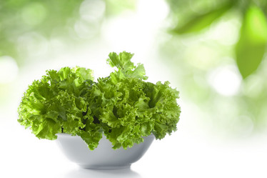 Similar image 7451261