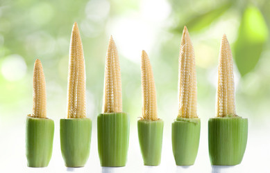 Similar image 7451294