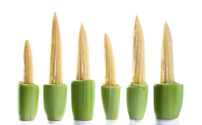 Similar image 7451308