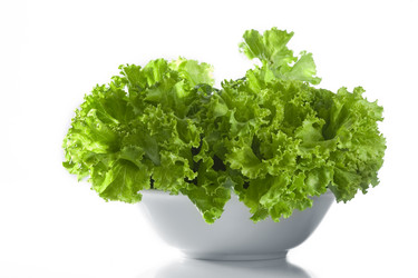 Similar image 7451309