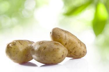 Similar image 7451310