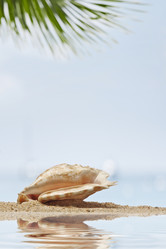 Similar image 7451410