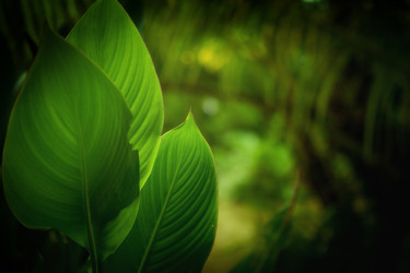 Similar image 7451435