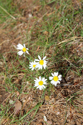 Similar image 7451564