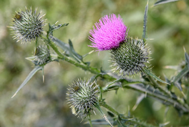 Similar image 7451565