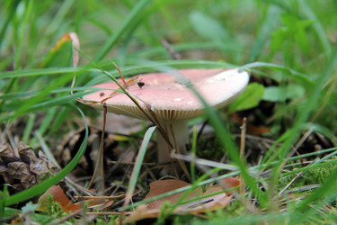 Similar image 7451566