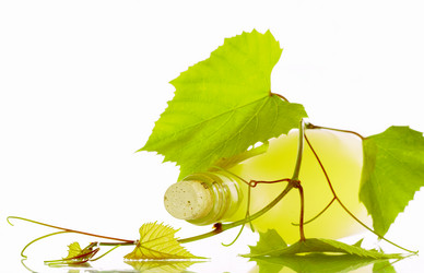 Similar image 7451601