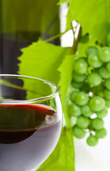 Similar image 7451603