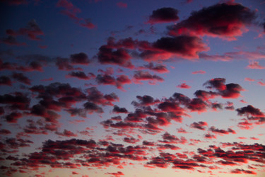 Similar image 7451694