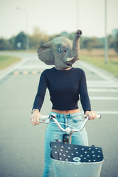 Similar image 7451696