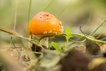 Similar image 7451952