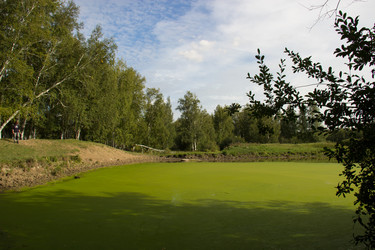 Similar image 7451953