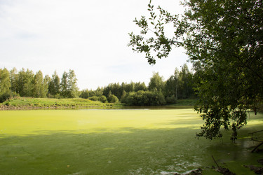 Similar image 7451954