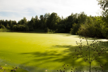 Similar image 7451955