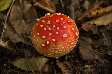 Similar image 7451956