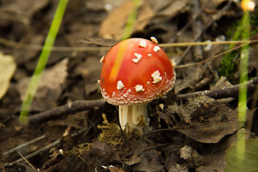 Similar image 7451958