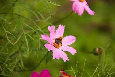 Similar image 7451959