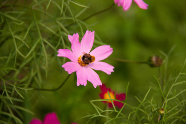 Similar image 7451960