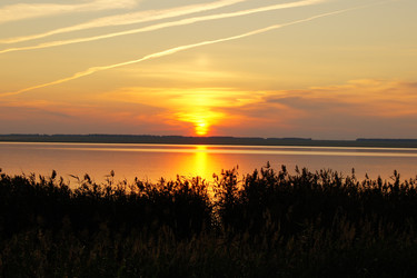 Similar image 7451992