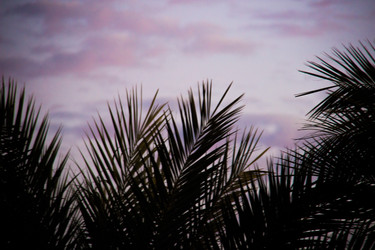 Similar image 7452262