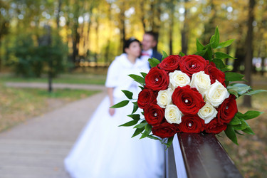 Similar image 7452398