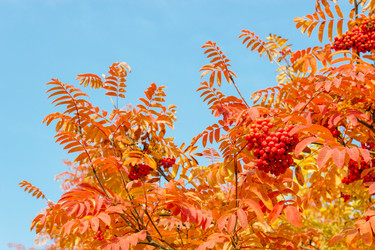 Similar image 7452437