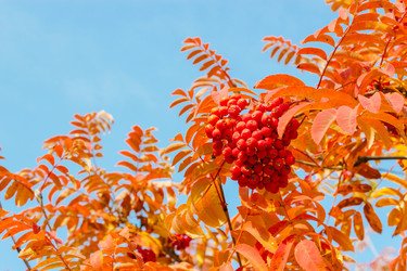 Similar image 7452438