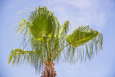 Similar image 7452461