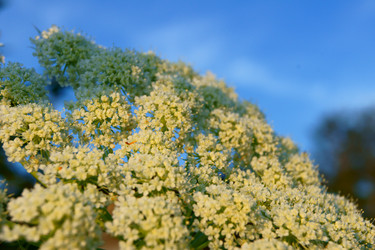 Similar image 7452463