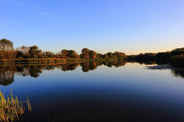 Similar image 7452523