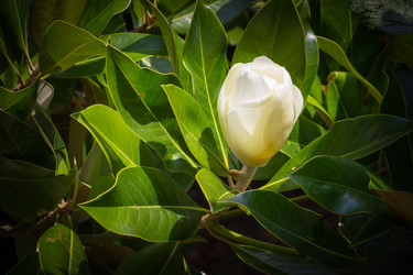 Similar image 7452529