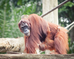 Similar image 7452576