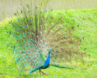 Similar image 7452583